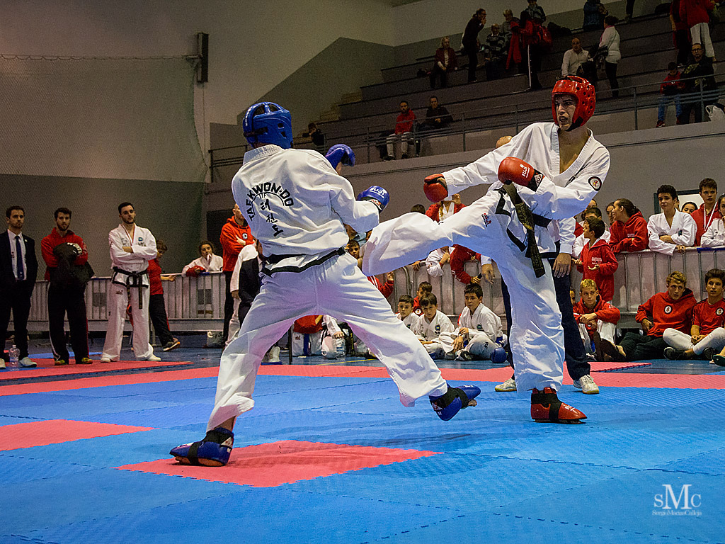 COPA SEUL, 2017  (220).JPG
